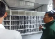 Bapanas Dorong Ayam dan Telur Program SPPG Diserap dari Peternak Kecil