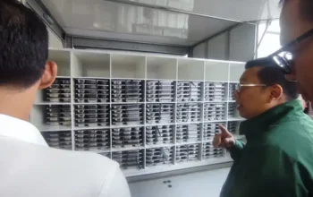Bapanas Dorong Ayam dan Telur Program SPPG Diserap dari Peternak Kecil