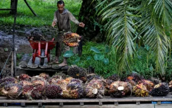Dukung Transformasi Industri Kelapa Sawit Nusantara, BPDP Luncurkan Katalog 100 Produk UKMK Sawit