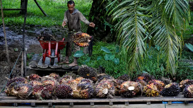 Dukung Transformasi Industri Kelapa Sawit Nusantara, BPDP Luncurkan Katalog 100 Produk UKMK Sawit